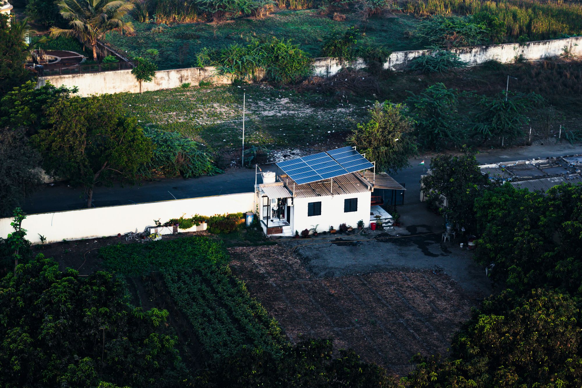 Rooftop solar panels on a building surrounded by greenery